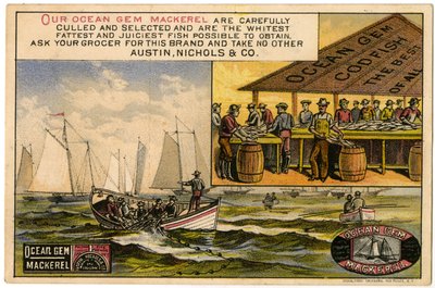 Austin, Nichols & Co. Ocean Gem Mackerel, trade card recto. by American School
